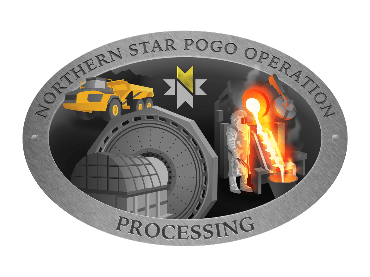 Different coloured versions of the Northern Star Pogo Operation Processing logo
