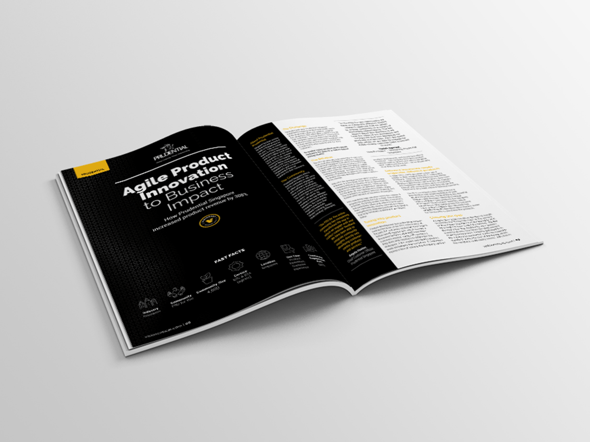 A double page layout design of the featured award winner page for the 2017 Visionary Magazine