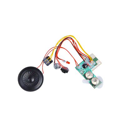 The voice chip for the bobble head design project